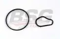 BSG 30235006 Vakum Pompa Tamir Takımı