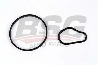 BSG 30235006 Vakum Pompa Tamir Takımı