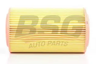 BSG 90135009 Hava Filtresi