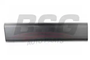 BSG 30924016 Kapı Bandı Ön Sol