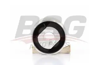 BSG 90700063 Salıncak Burcu