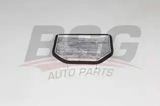 BSG 60145034 Polen Filtresi