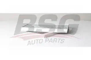 BSG 60145030 Polen Filtresi