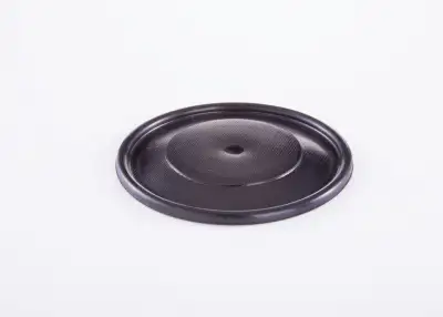 BOSCH 2420503002 Diyafram - 21. Görsel