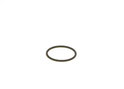 BOSCH F00VC38002 O-Ring - 10. Görsel