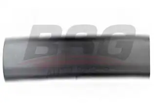 BSG 30924031 Kapı Bandı Ön Sağ