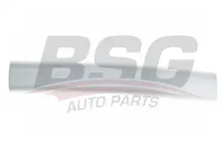 BSG 30924046 Kapı Bandı Ön Sağ