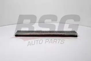 BSG 30145011 Polen Filtresi