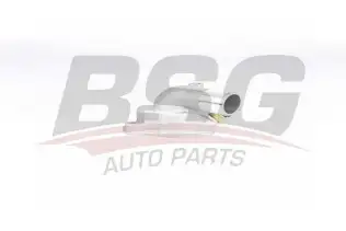 BSG 65125013 Termostat