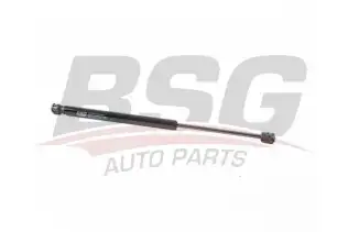 BSG 25980007 Bagaj Amortisörü