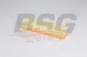 BSG 60135045 Hava Filtresi
