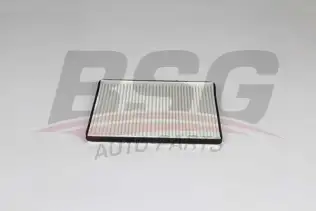 BSG 65145014 Polen Filtresi