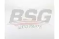 BSG 60550005 Radyatör Yedek Su Deposu