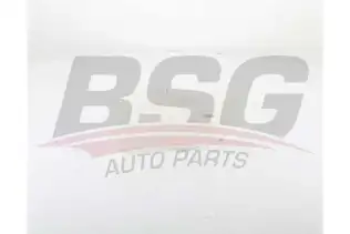 BSG 60550005 Radyatör Yedek Su Deposu