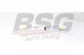 BSG 90130028 Yakıt Filtresi