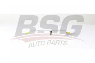 BSG 90130028 Yakıt Filtresi