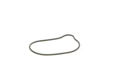 BOSCH 2440210028 O-Ring - 28. Görsel