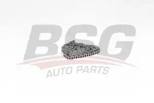 BSG 60105005 Eksantrik Zinciri