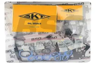BSG 30115024 Takım Conta