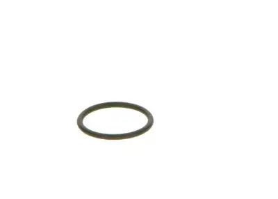BOSCH F00VC38042 O-Ring - 21. Görsel