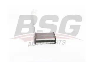 BSG 30530005 Kalorifer Radyatörü
