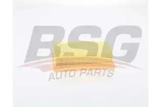 BSG 75135022 Hava Filtresi