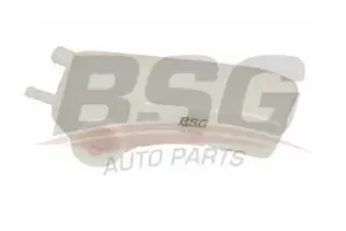 BSG 30550009 Radyatör Yedek Su Deposu