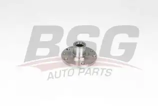 BSG 75600003 Porya Ön