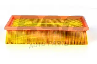 BSG 30135007 Hava Filtresi