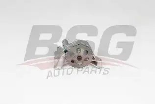 BSG 90101001 Yağ Pompası