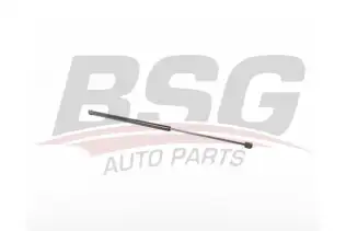 BSG 90980066 Kaput Amortisörü