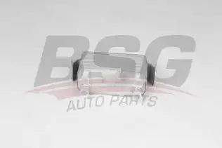 BSG 15506028 Yağ Soğutucusu