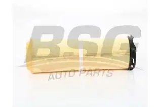 BSG 60135035 Hava Filtresi