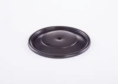 BOSCH 2420503002 Diyafram - 6. Görsel