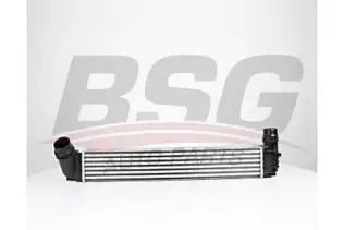 BSG 75535004 Turbo Radyatörü