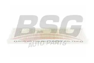 BSG 65145003 Polen Filtresi