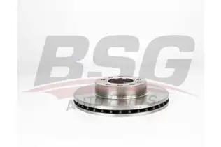 BSG 70210024 Fren Diski Ön