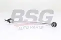 BSG 75310080 Viraj Askı Rotu Ön