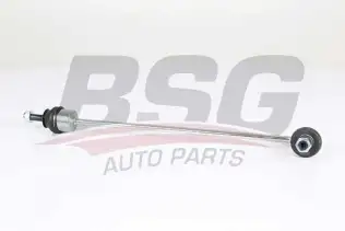 BSG 75310080 Viraj Askı Rotu Ön