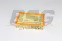 BSG 65135028 Hava Filtresi