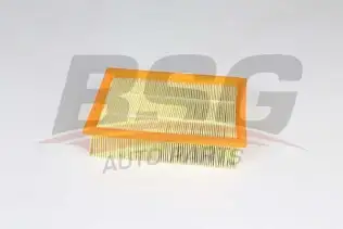 BSG 65135028 Hava Filtresi