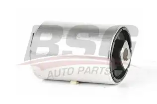 BSG 15700005 Salıncak Burcu