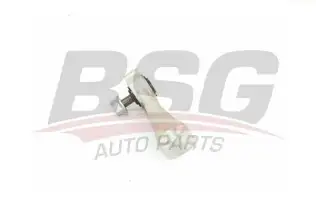 BSG 60310233 Viraj Askı Rotu Ön Sağ