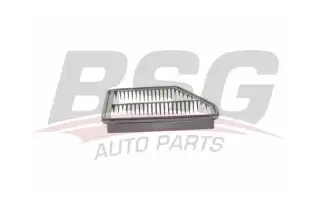 BSG 40135021 Hava Filtresi
