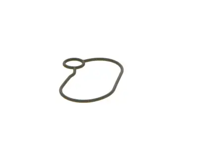 BOSCH 2440210054 O-Ring - 24. Görsel