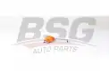 BSG 25310009 Rot Başı Ön