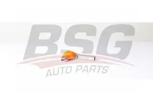 BSG 25310009 Rot Başı Ön
