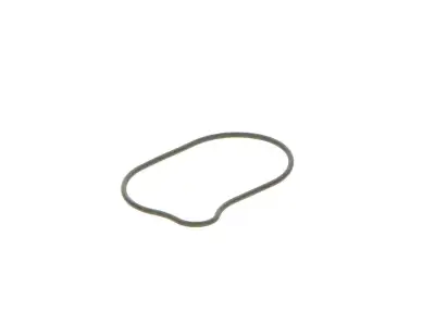 BOSCH 2440210028 O-Ring - 14. Görsel