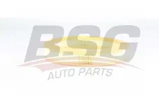 BSG 75135011 Hava Filtresi