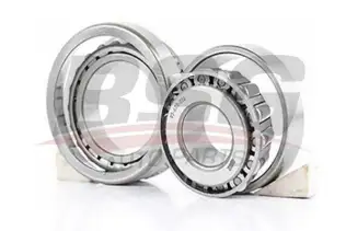 BSG 90600016 Teker Rulmanı Arka